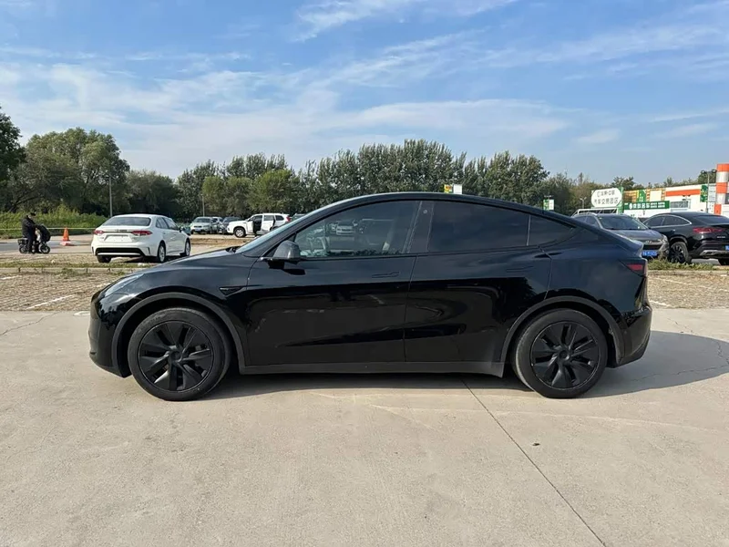 Tesla Model Y — фото 7