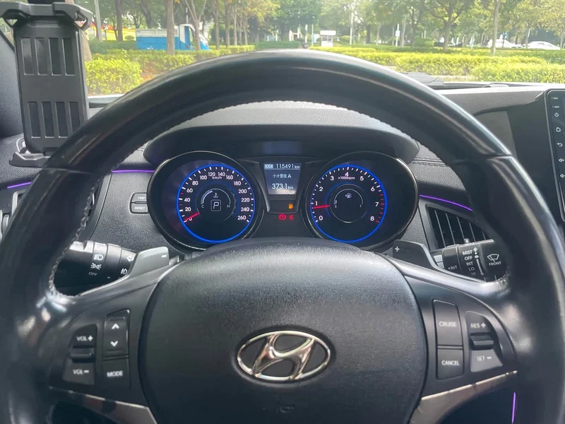 Hyundai Rohens Coupe — фото 16