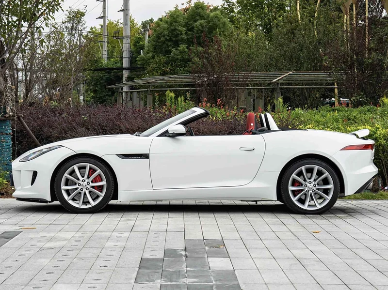 Jaguar F-TYPE — фото 7