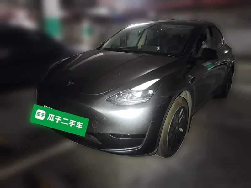 Tesla Model Y — фото 1
