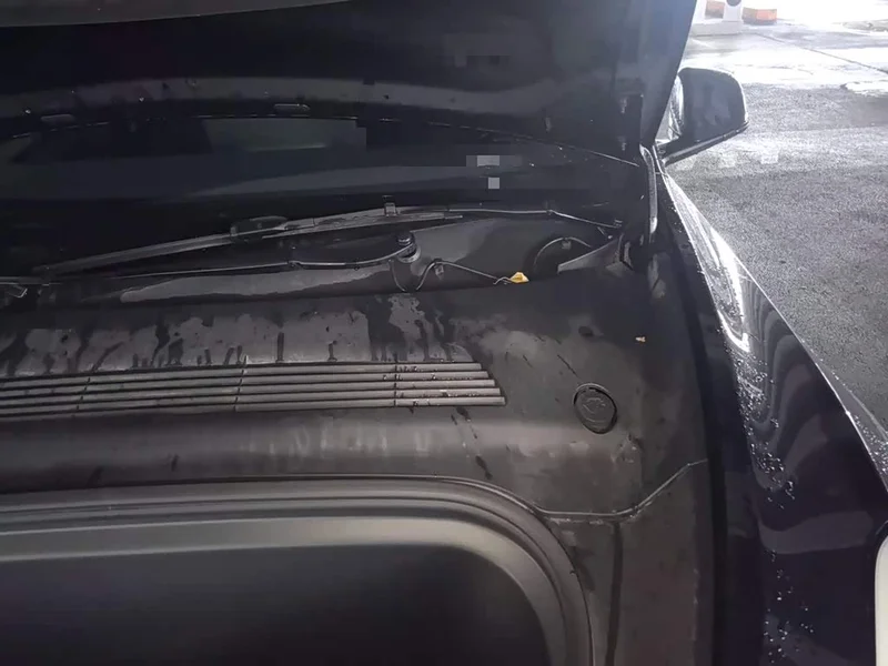 Tesla Model Y — фото 21