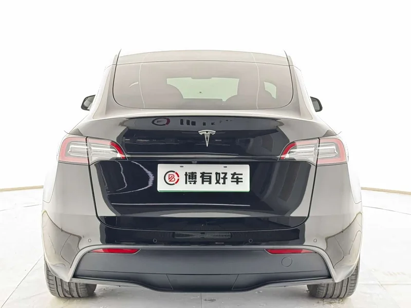 Tesla Model Y — фото 14