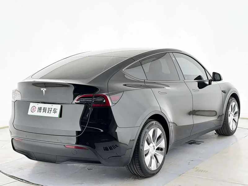Tesla Model Y — фото 15