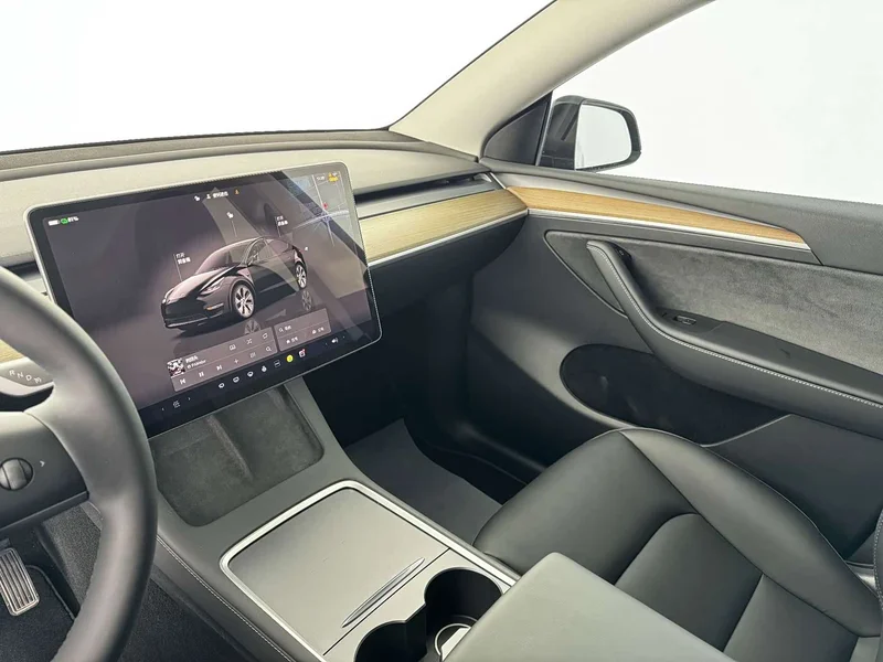 Tesla Model Y — фото 8
