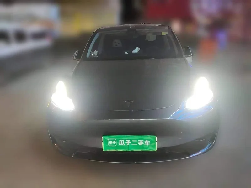 Tesla Model Y — фото 2