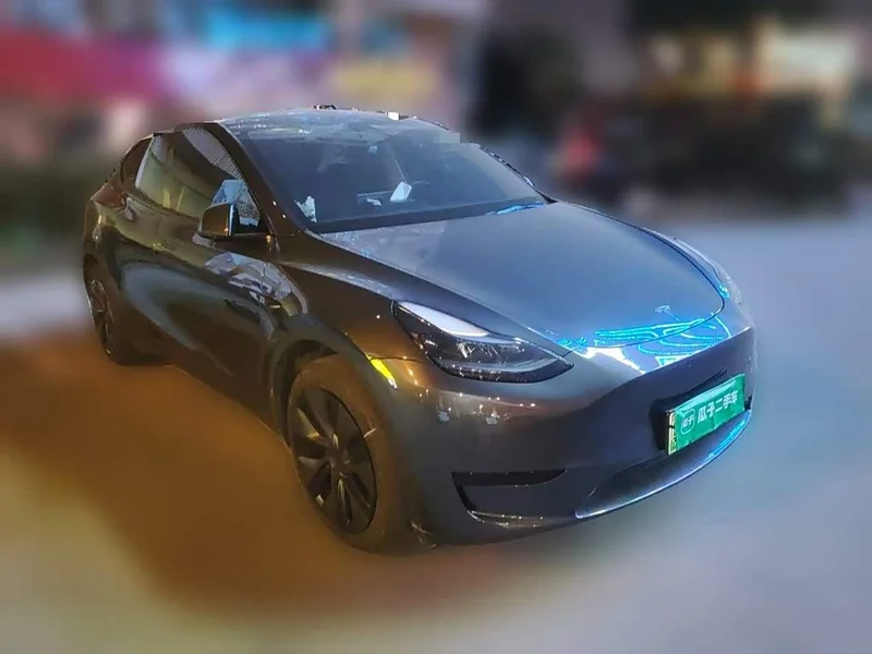 Tesla Model Y — фото 3