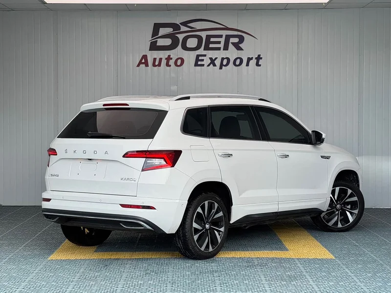 Skoda Karoq — фото 5