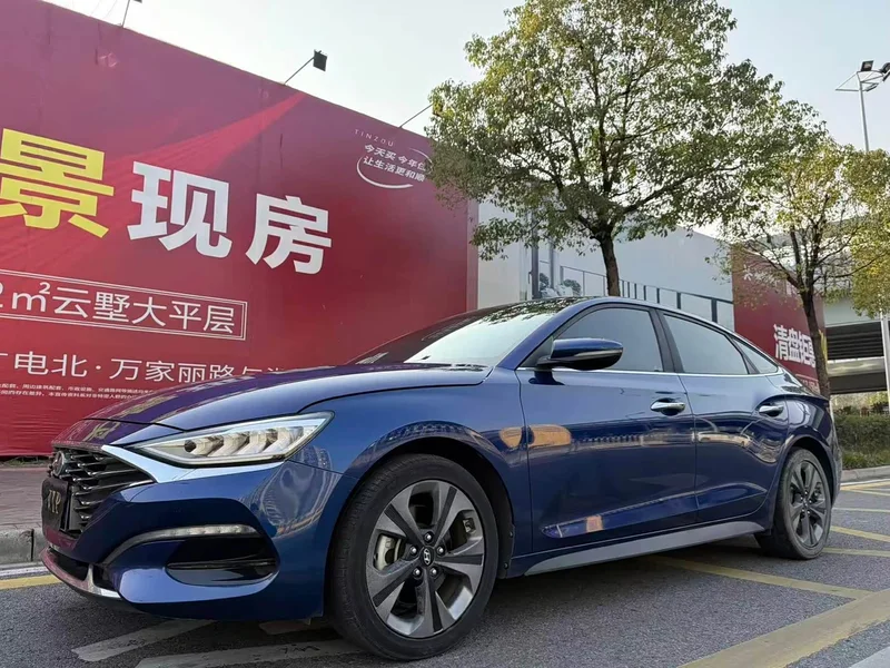 Hyundai Fista — фото 1