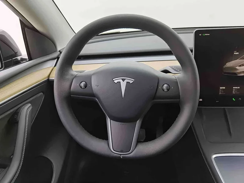 Tesla Model Y — фото 6