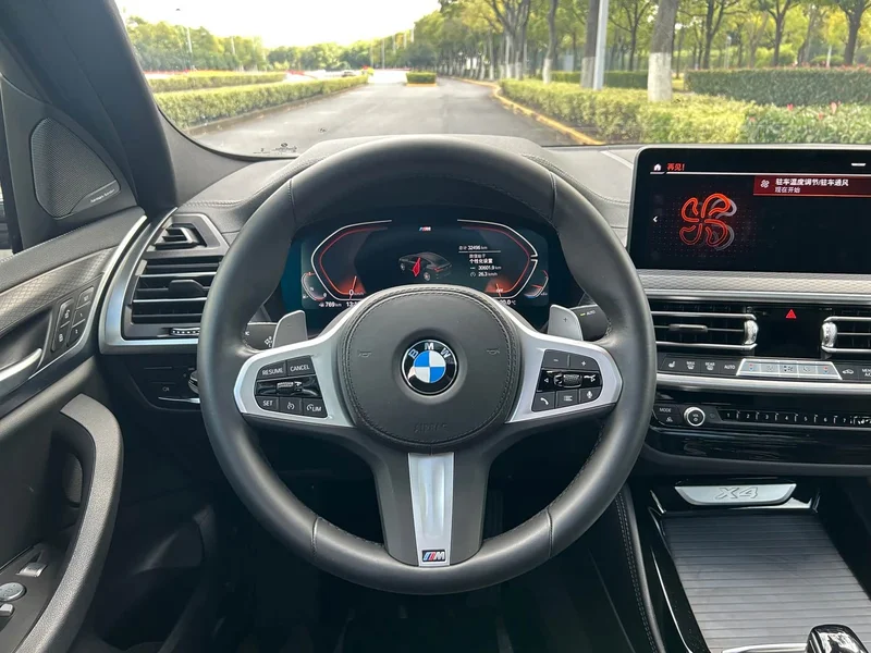 BMW X4 — фото 9