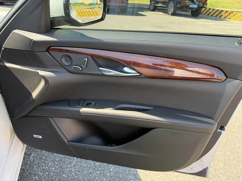 Cadillac CT6 PLUG-IN — фото 20