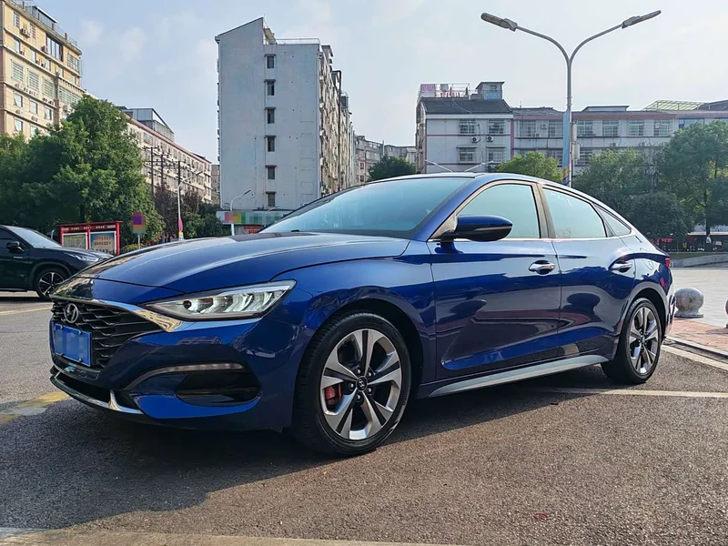 Hyundai Fista — фото 1