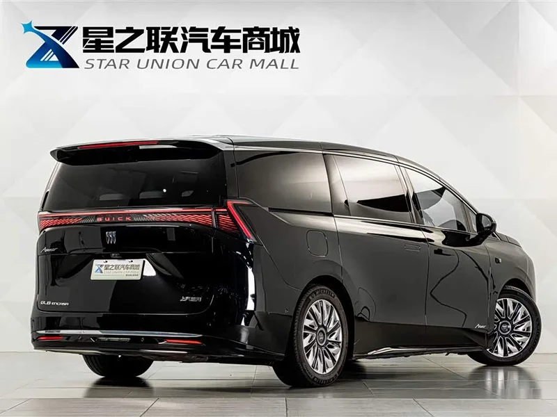 Buick ZhiJing Family — фото 6