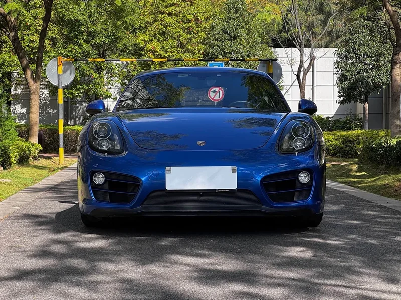 Porsche Cayman — фото 6