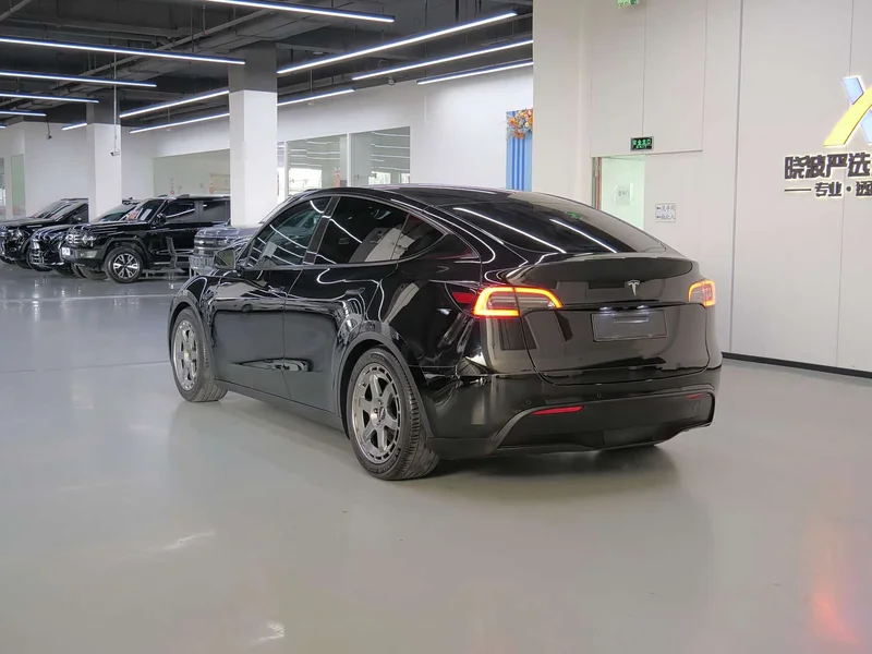 Tesla Model Y — фото 6