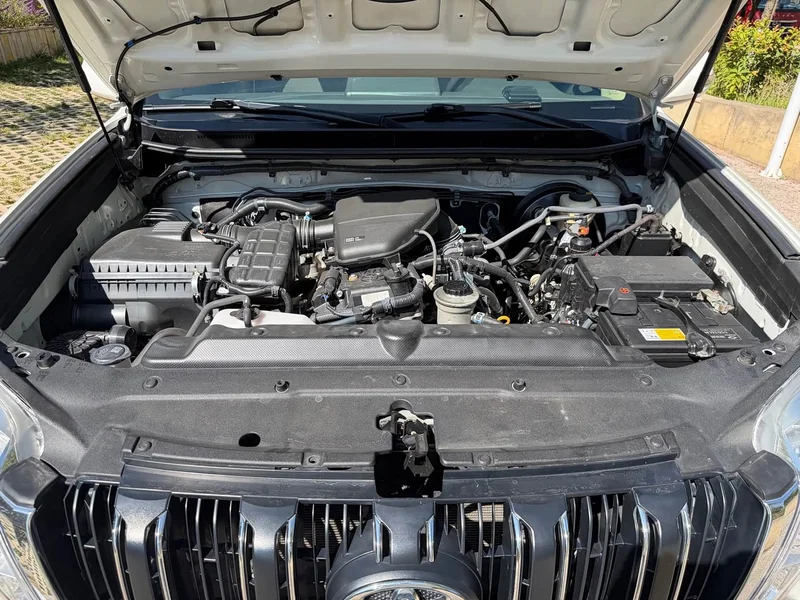 Toyota Prado (Imported) — фото 15