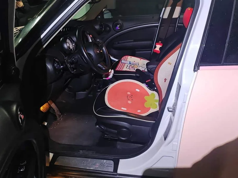 Mini Countryman — фото 9