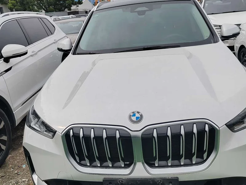 BMW X1 — фото 1