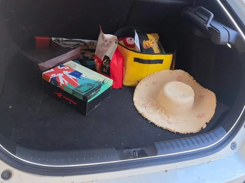 Honda Civic — фото 4
