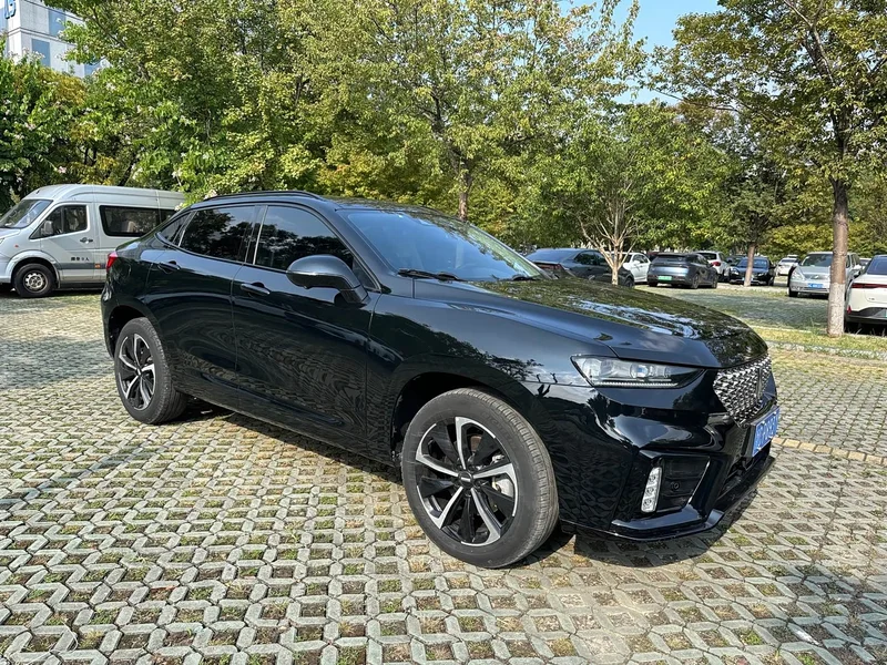 Wey VV7 GT — фото 1