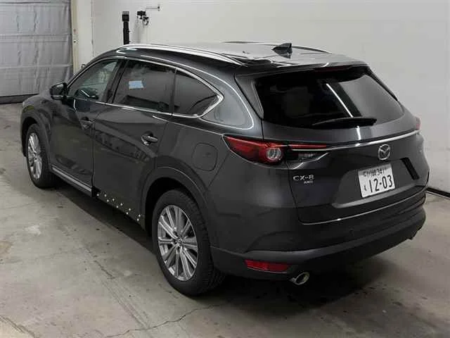 Mazda CX-8 — фото 2