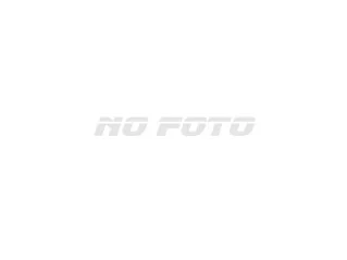 Suzuki PALETTE