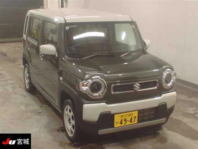 Suzuki HUSTLER