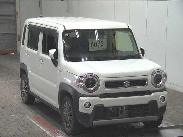Suzuki HUSTLER