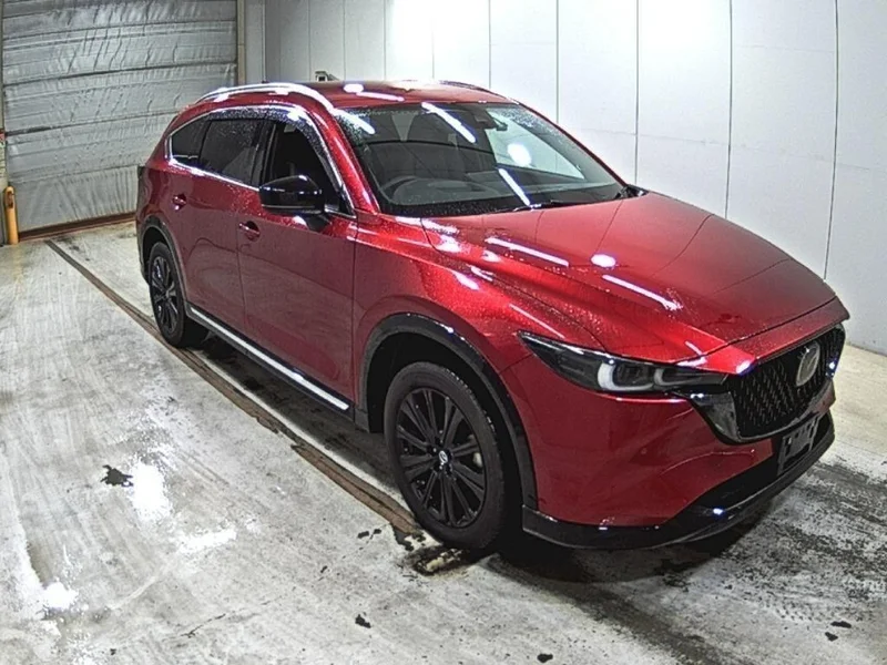Mazda CX-8 — фото 1