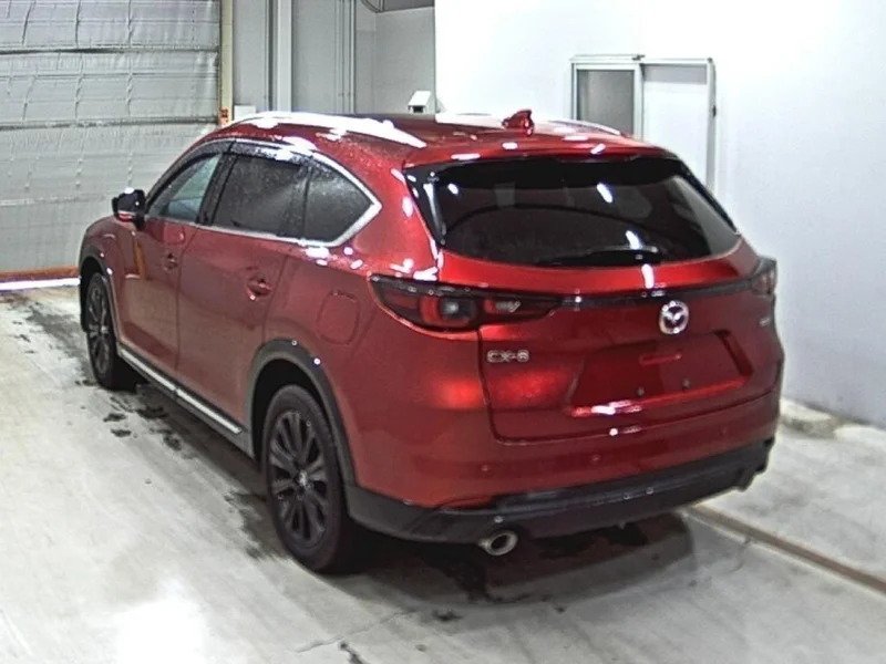 Mazda CX-8 — фото 2