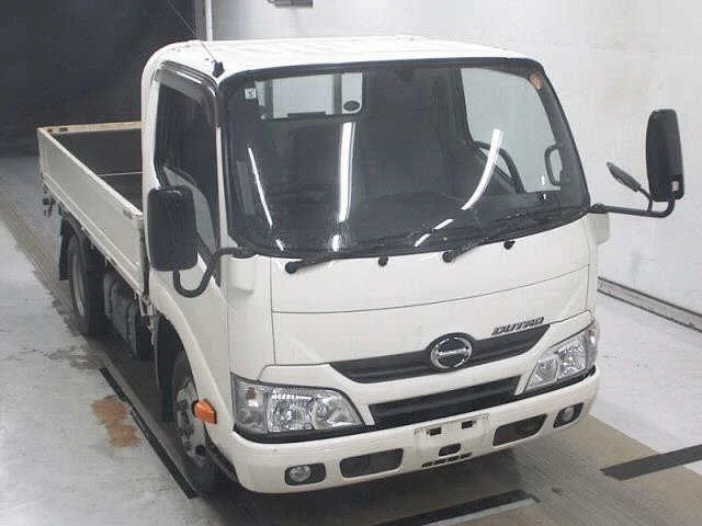 HINO DUTRO — фото 1