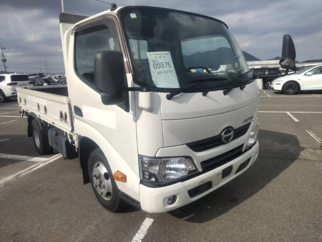 HINO DUTRO — фото 1