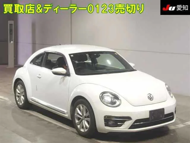 Volkswagen THE BEETLE