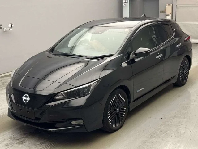 Nissan LEAF — фото 1