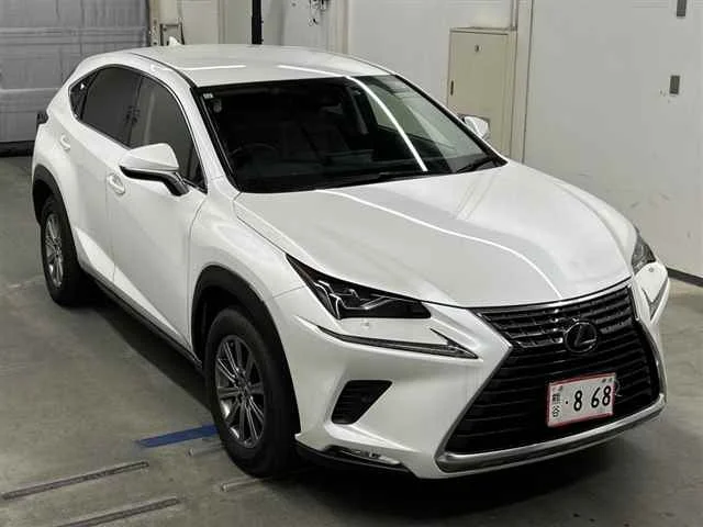 Lexus NX — фото 1