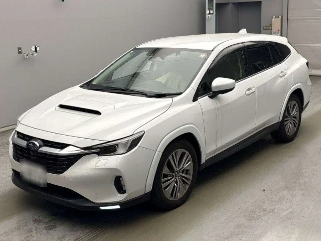 Subaru LEVORG LAYBACK — фото 1