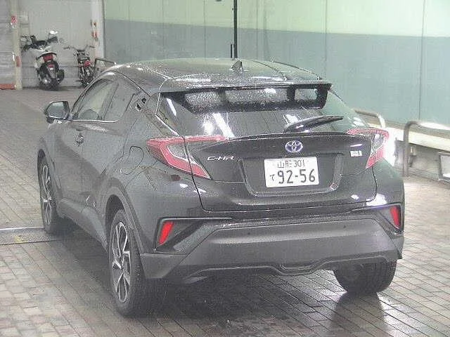 Фото 2