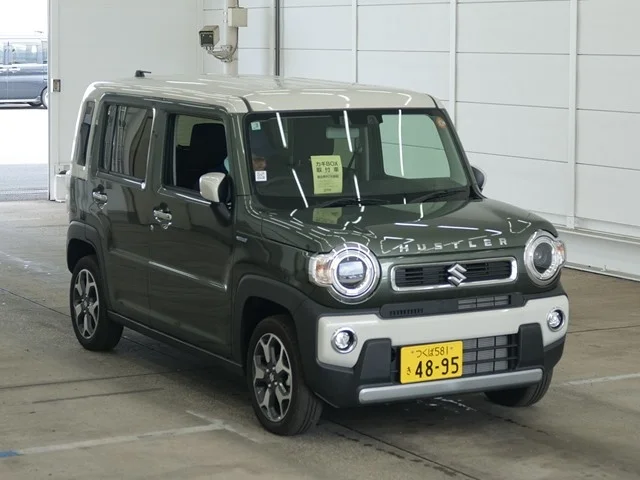 Suzuki HUSTLER