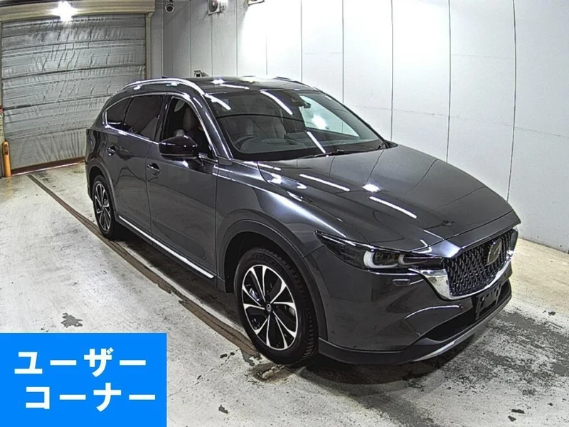 Mazda CX-8 — фото 1