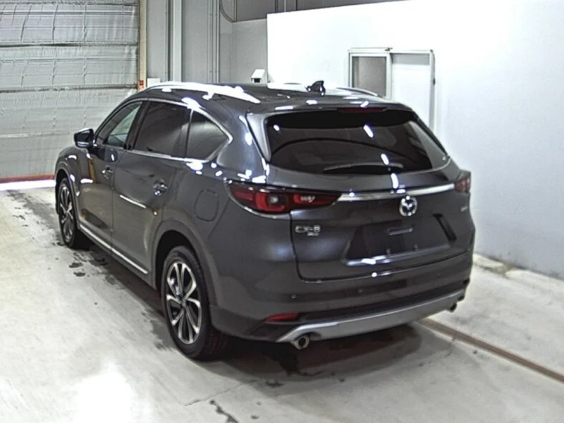 Mazda CX-8 — фото 2