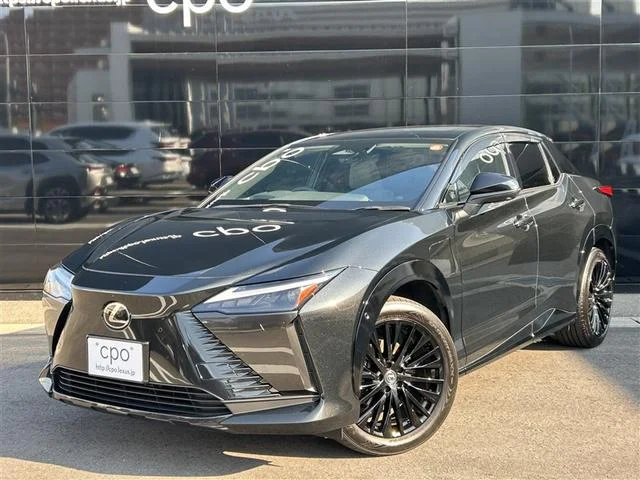 Lexus RZ — фото 1