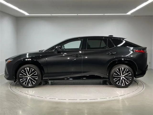 Lexus RZ — фото 3