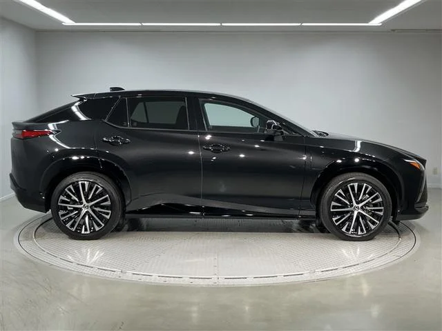 Lexus RZ — фото 4