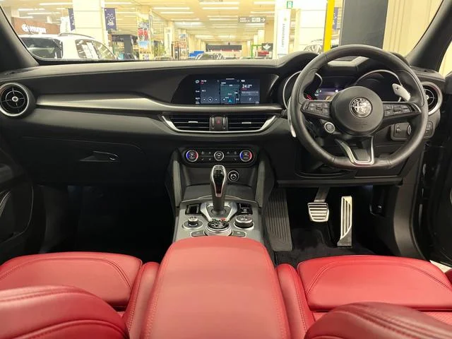 Alfa Romeo STELVIO — фото 2
