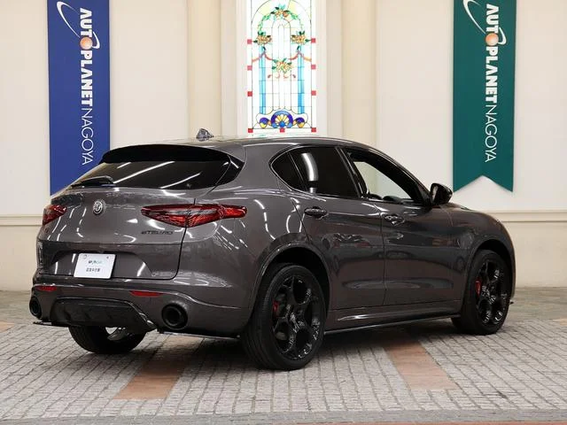 Alfa Romeo STELVIO — фото 3