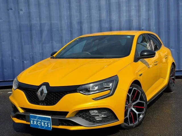 Renault MEGANE — фото 1