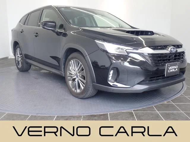 Subaru LEVORG LAYBACK — фото 1