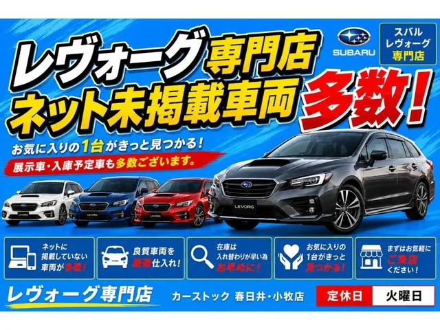 Subaru LEVORG — фото 3