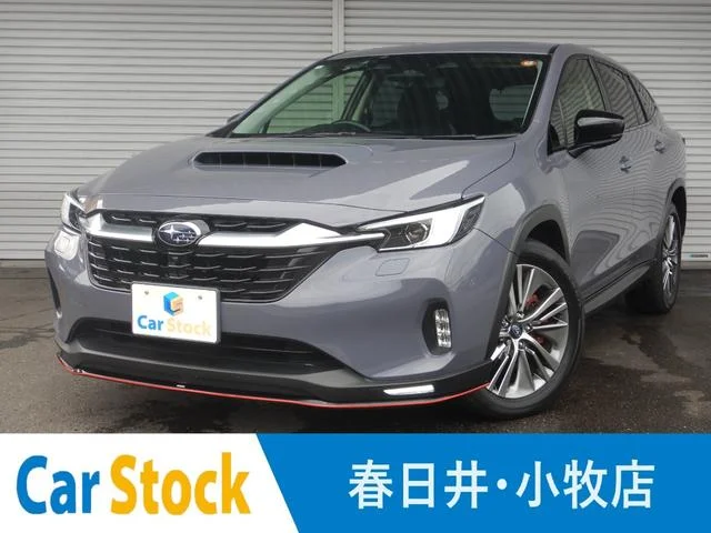 Subaru LEVORG LAYBACK — фото 1