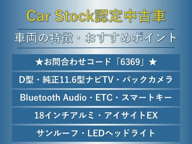 Subaru LEVORG LAYBACK — фото 2
